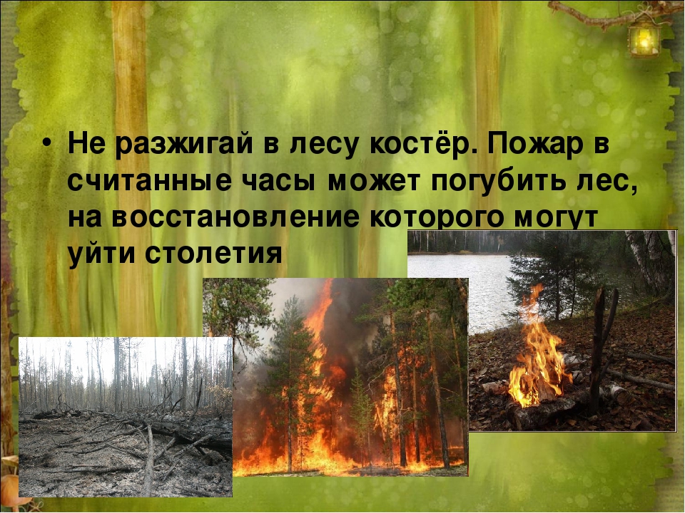 Пожар окр мир. Лесные опасности Лесные пожары. Нельзя разжигать костёр в лесу. Разжигать костер в лесу. Нельзя разжигать огонь в лесу.