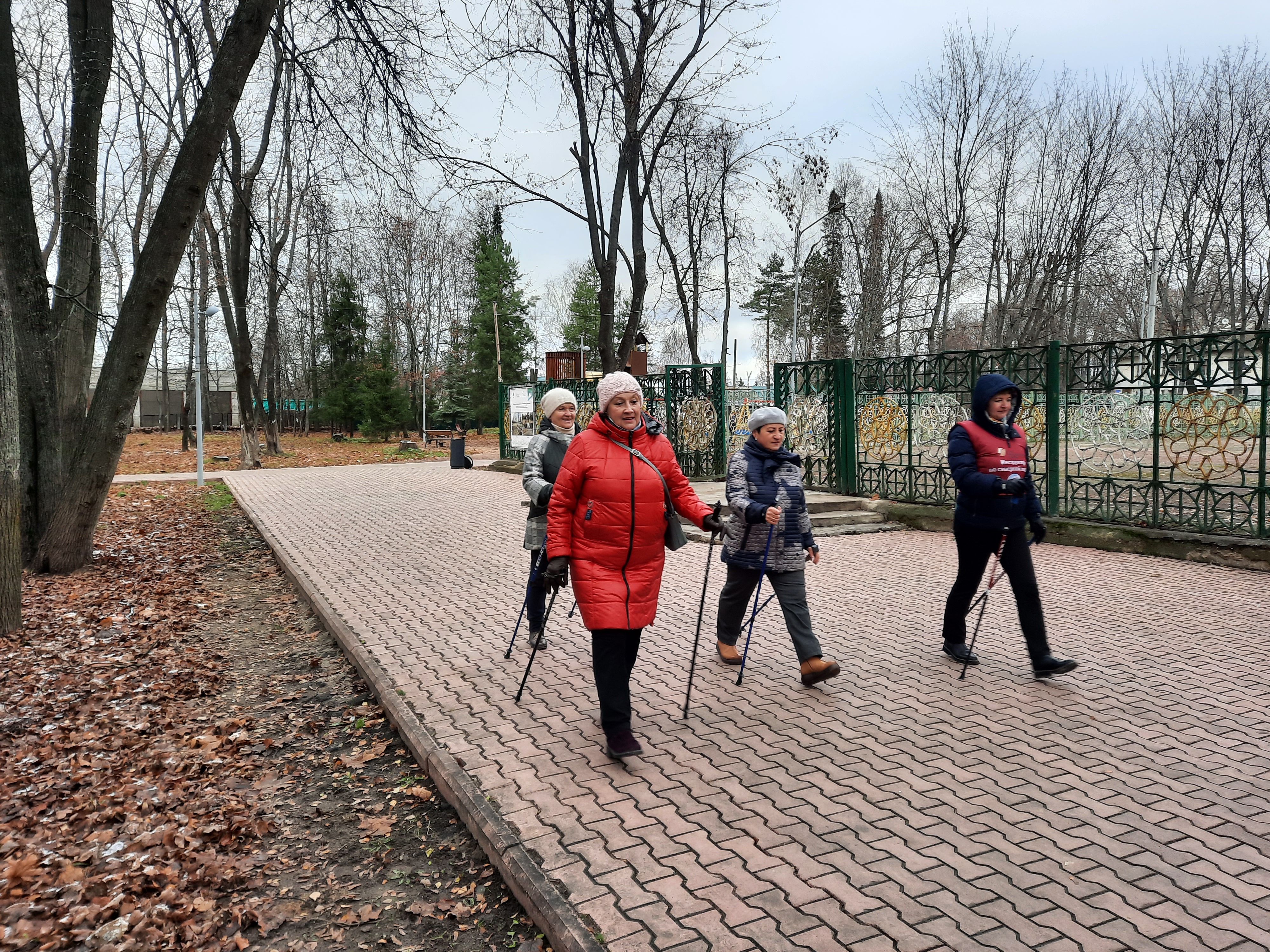 Погода приволжск ивановская область сегодня. Ноябрь в парке. Ноябрь. Ноябрьский парк.